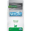 FARMINA Vet life Cat Renal 2 kg