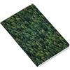Ambar Confezione da 5 quaderni A4 48 fogli Cycle 1 striscia