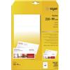 SIGEL LP713 Lotto di 60 cartoline per corrispondenza PC, DL (1/3 A4), bianco