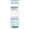 ERBA VITA GROUP SPA CRISANTELLO AMER SOL IAL 50ML