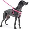 Ancol nylon imbottito cablaggio riflettente, Rosa (Raspberry), 88-120 cm
