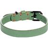 Flamingo Collare LEANO Nero Verde S/M 31-39CM 20MM