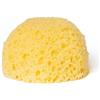 Martini Spa - My Pet Spa - Spugna Extra soffice Piccola in Poliuretano per toelettatura degli Animali, Colore Beige, 1 unità - Made in Italy -