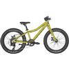 Scott Bikes Roxter 20´´ Mtb Bike Verde Ragazzo