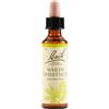 White Chest Bach Orig 20 ml Gocce orali