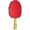 JOOLA 52001 - Set da ping pong unisex per adulti Team Master Multicolore, Taglia unica