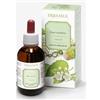 ERBAMEA SRL ERISIMO Sommita'Est.Ial.EBM