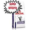 ROYAL CANIN DIETA GATTO MATURE CONSULT 3,5 KG