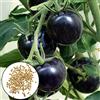 Benoon 100 pezzi semi di pomodoro, semi di verdure novità creativa Black Sunshine preferiscono gustosi semi di piante Forniture da giardino Nero