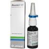 CHIESI FARMACEUTICI SpA RINOCLENIL*SPRAY 200ER 100MCG