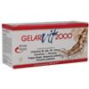 GELAR FARMA SRL Gelarvit 2000 28 Fiale 10 Ml