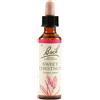 Sweet Chest Bach Orig 20 ml Gocce orali