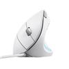 Trust - Mouse Verto Ergo-white