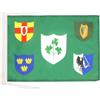 AZ FLAG Bandiera Irlanda Rugby IRFU 45x30 cm Poliestere 100D Cordini | Uso interno ed esterno bandiera decorativa irlandese IRFU Ireland Rugby doppie cuciture e bordi rinforzati