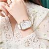 Basfur Dress Watch Fe-Montre-069-06