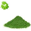BONGIOVANNI FARINE E BONTA' NATURALI Prezzemolo disidratato in polvere 50g