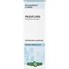 ERBA VITA GROUP SPA Passiflora Sommita' Soluzione Idroalcolica 50 Ml