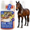 EMMA Amino Liquid I Aminoacidi Complesso vitaminico B I Mangime complementare Vitamina B12 I Zinco cavallo I Costruzione dei muscoli cavallo Rafforzamento dei muscoli I Rigenerazione muscoli per cavalli 1L