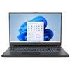 Medion Notebook 17.3'' Medion i7-13700HX 16GB/1TB Erazer gaming Defender P40 display QHD Win 11