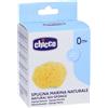 Chicco spugna marina naturale media 0m+
