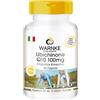 WARNKE VITALSTOFFE Coenzima Q10 - Ubichinone - 60 capsule - Potente antiossidante/Aiuta l'organismo a produrre energia | Warnke Vitalstoffe - Qualità da farmacia tedesca