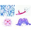 3B Scientific LIEDER Scienze Microscopia Micro preparati Serie einzeller, Proto Zoa