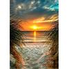 QENSPE 5D Diamond Painting Spiaggia, Kit per Diamond Painting Adulti, Pittura Diamante Fai da Te, Tramonto Painting Kit Completo per Bambini, Decorazione per Casa e Pareti 30x40cm Paesaggio