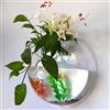 WANGQI Decorazione da parete per acquario, palla di vetro creativa in acrilico da appendere a parete, a forma di pesce, vaso per acquario, vasca, ciotola per acquario, ciotola per pesce