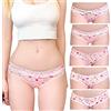 LittleForBig Donne Morbido Cotone Underwear Confortevole Slip Hipster Set da 5 Mutandine-Modello Usagi S