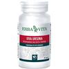 ERBA VITA Uva Ursina 60 capsule - Integratore per la funzionalità delle vie urinarie
