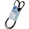 BLUE PRINT Cinghia Poly-V AD06R1255 Compatibile con: HYUNDAI ACCENT IV Stufenheck, ELANTRA V Stufenheck, i20 I, i30, i30, i30 Coupe, i30 Kombi, i30 Kombi, i40 I, i40 I CW, ix20, ix35, TUCSON