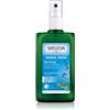 Weleda Sage Sage 100 ml