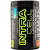 NET Intra cell liposomiale intra Workout Net integratori
