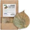 ARKA mySCAPE-DADAP Foglie | 7-13 cm | Set di 10 alimenti complementari e festivi per gamberi, gamberi di fiume| Promuove il benessere dei pesci d'acqua dolce.