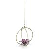 Swarovski Garden Tales Decorazione Sfera Ibisco Grande, Oggetto Decorativo con CristalliSwarovski e Metallo Rifinito in Tonalità Oro, Viola