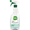 Biovie Spray vetri/superfici all'olio essenziale di menta
