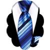 Barry.Wang Cravatta per Ragazzi Cravatta in Seta per Ragazzi Set Pochette, Paisley Quadretti Per Ballo di Fine Anno Festa Business Cerimonia, Oro, Taglia Unica