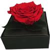 Pandecor Cofanetto regalo rosa stabilizzata 11x11x10 cm
