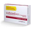Pharmaelle Srl Cobaxil B12 5000mcg 5 Compresse Sublinguali
