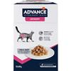 Affinity Advance Veterinary Diets Feline Urinary 85 gr Alimento Umido Gatti
