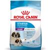 ROYAL CANIN Giant Starter Mother & Babydog 15 kg