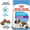 ROYAL CANIN Giant Starter Mother&Babydog 30kg (2x15kg)