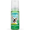 PETS FITNESS DI MAGISTRELLI FRESH BREATH MINT FOAM 133 ml
