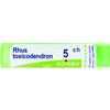 BOIRON Srl RHUS TOXICODENDRON 5CH GRANULI