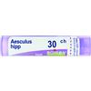 BOIRON Srl AESCULUS HIPPOCASTANUM 30CH GRANULI