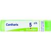 BOIRON Srl CANTHARIS 5CH GRANULI
