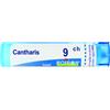 BOIRON Srl CANTHARIS 9CH GRANULI