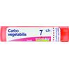 BOIRON Srl CARBO VEGETABILIS 7CH GRANULI