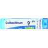 BOIRON Srl COLIBACILLINUM 9CH GRANULI