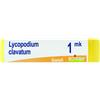 BOIRON Srl LYCOPODIUM CLAVATUM MK GLOBULI